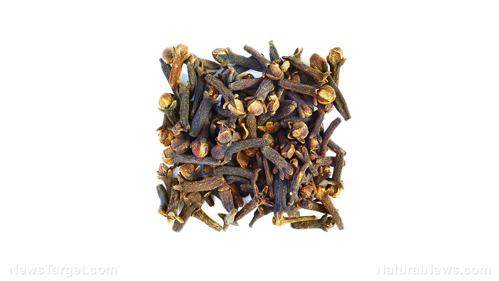 Clove extracts found to reverse elevated pre and postprandial blood